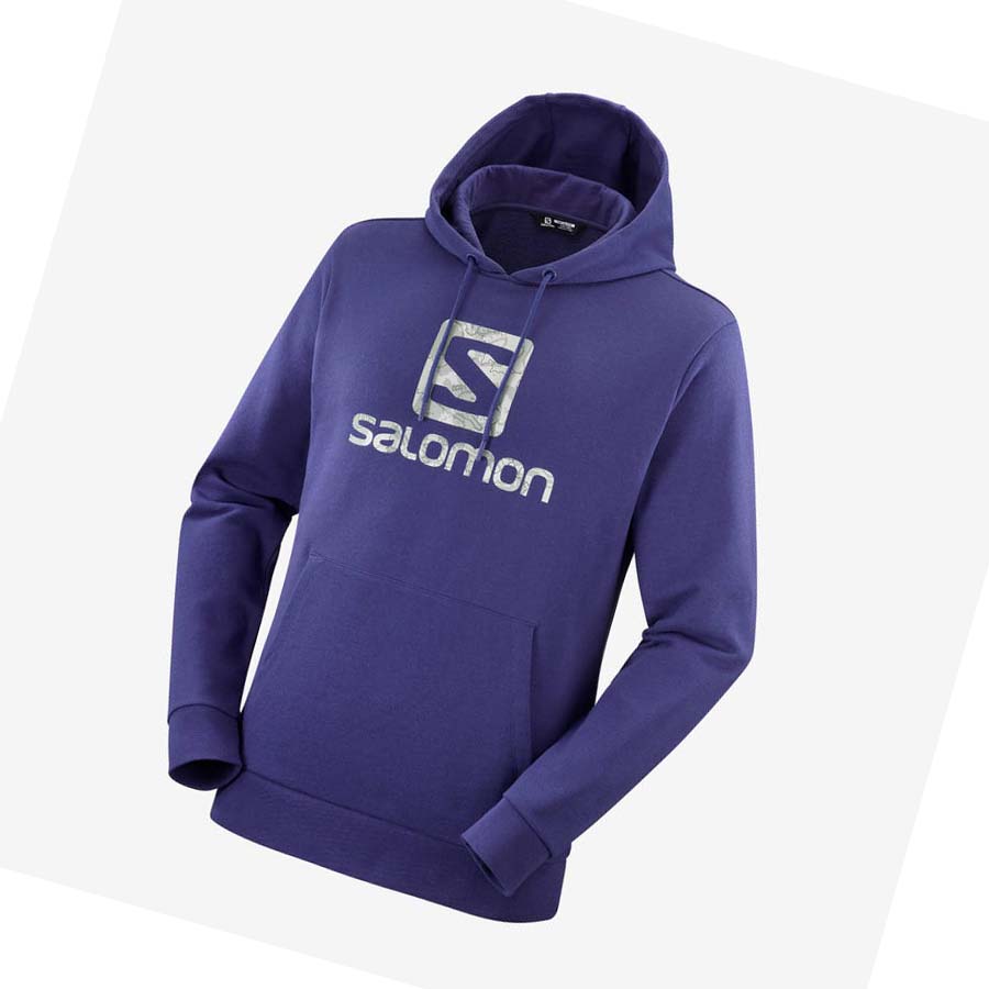 Salomon OUTLIFE LOGO SUMMER Kapucnis Pulóver Férfi Lila | HU 2405AHK